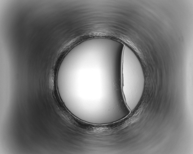 X0000096430446200801241027