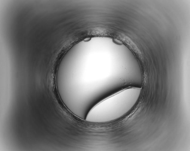 X0000096430449200801241027