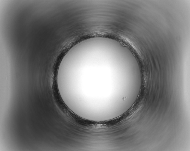 X0000096430451200801241027
