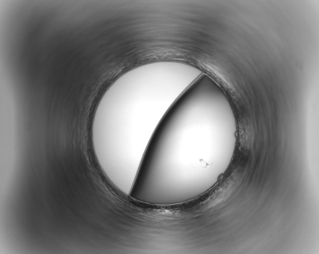 X0000096430453200801241027