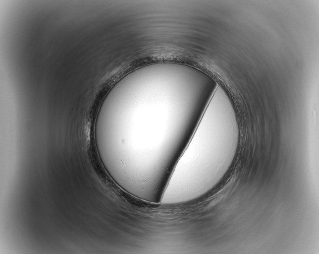 X0000096430454200801241027