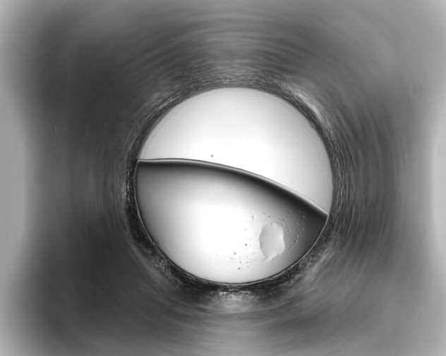 X0000096430455200801241027