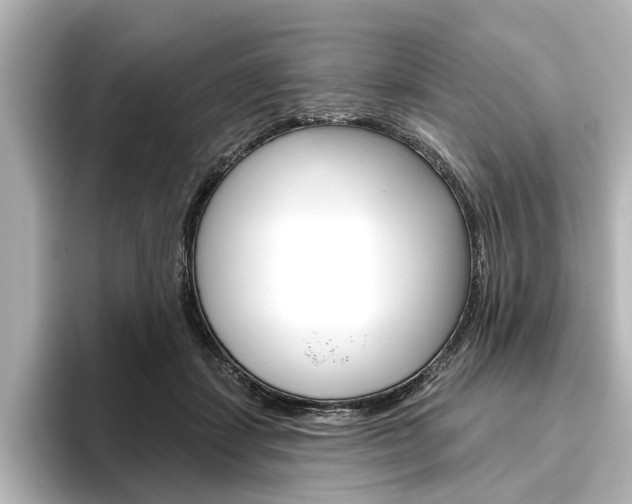 X0000096430459200801241027