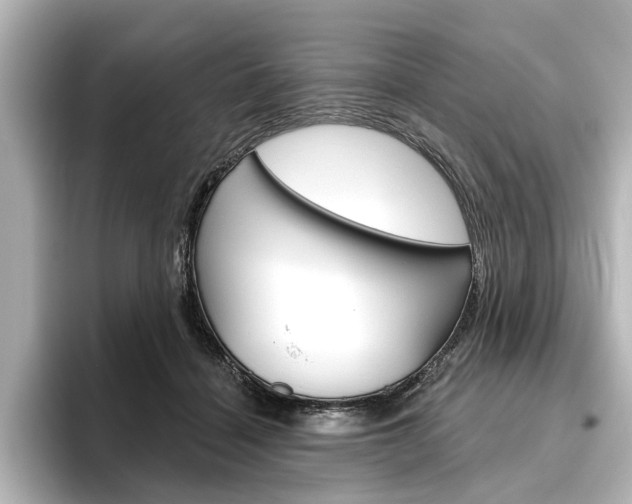 X0000096430460200801241027