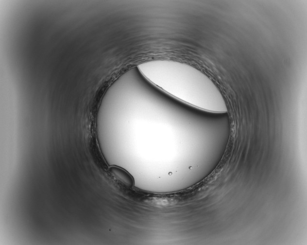 X0000096430464200801241027