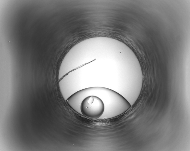 X0000096430466200801241027