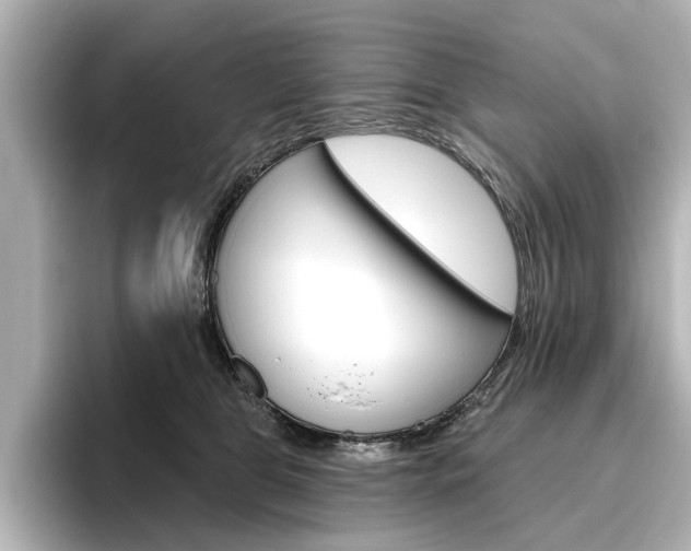 X0000096430469200801241027