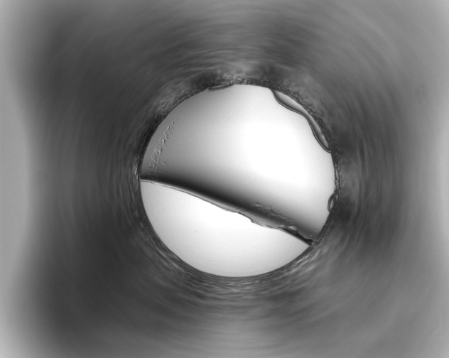 X0000096430479200801241027