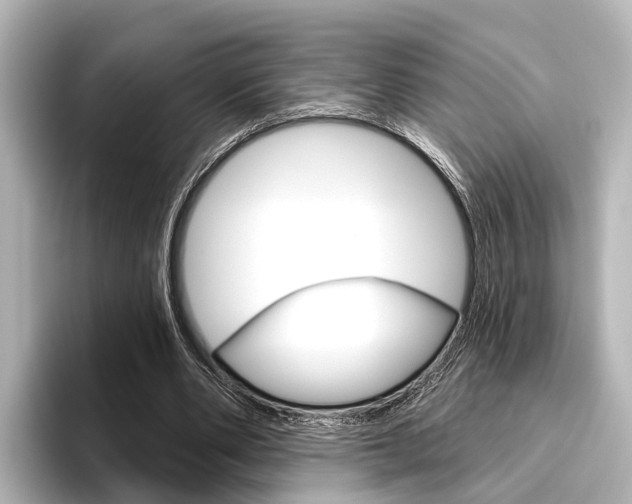 X0000096430486200801241026