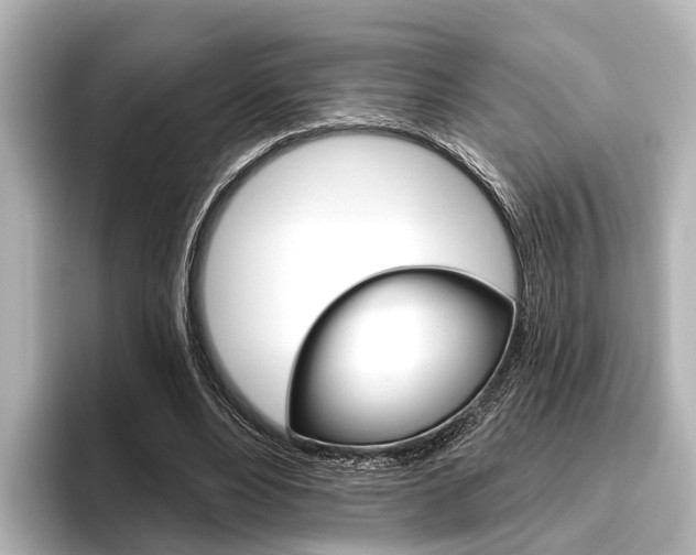X0000096430488200801241026