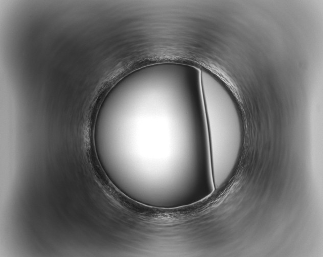 X0000096430489200801241026
