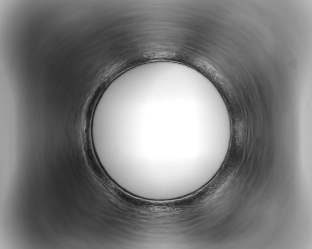 X0000096430490200801241026