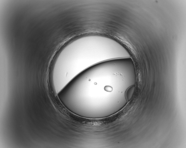 X0000096430492200801241026