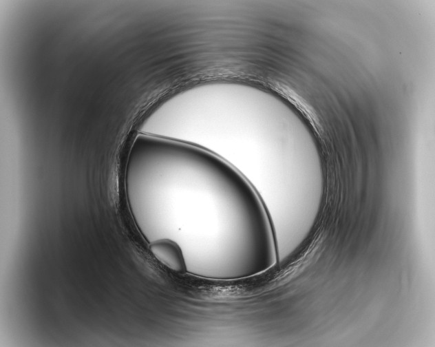X0000096430493200801241026