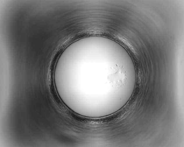 X0000096430494200801241026