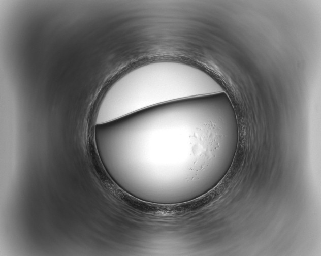 X0000096430496200801241026