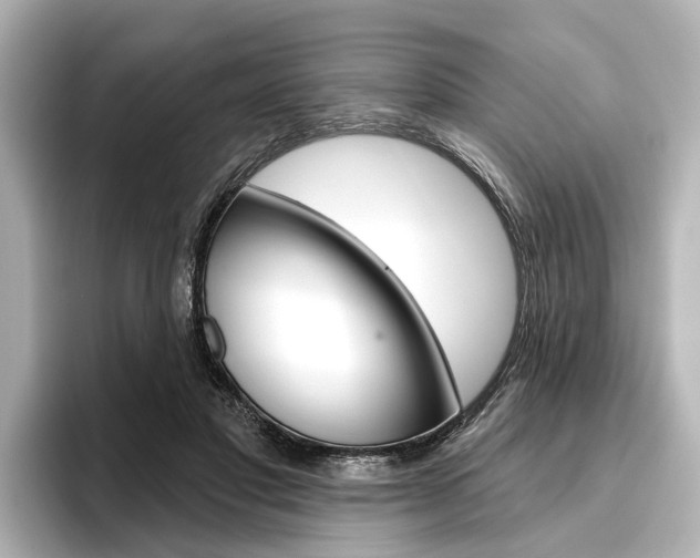 X0000096430501200801241026