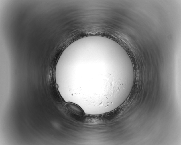 X0000096430503200801241026