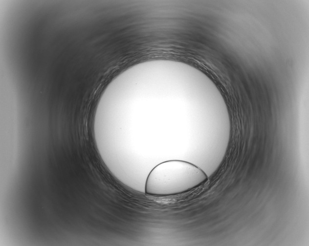 X0000096430504200801241026