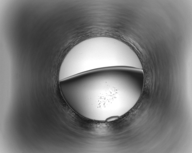 X0000096430513200801241026