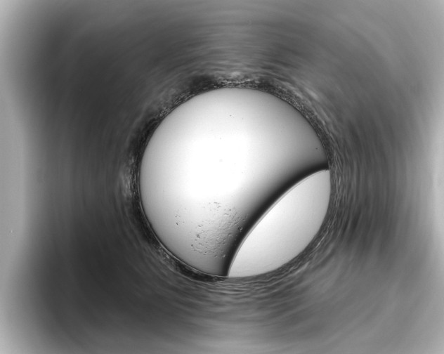 X0000096430515200801241026