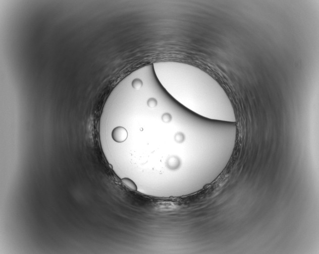 X0000096430519200801241026