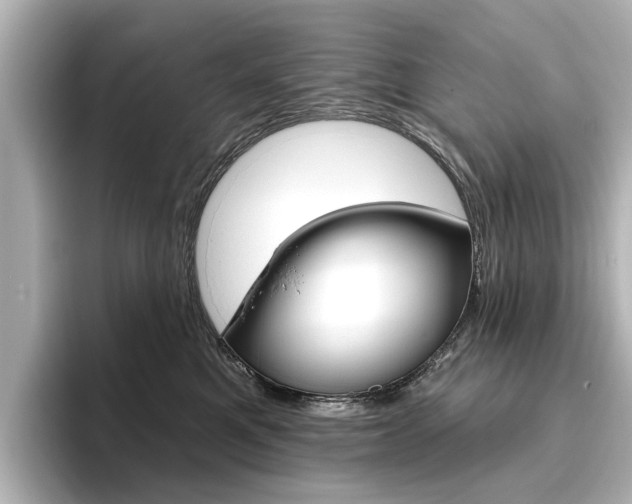 X0000096430521200801241026