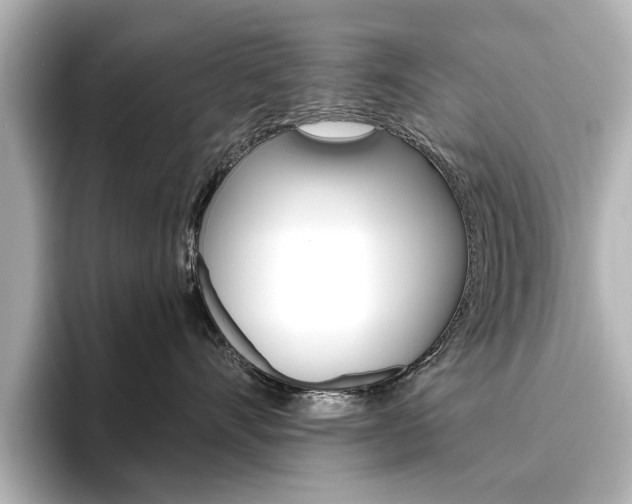 X0000096430528200801241026