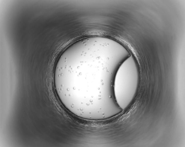 X0000096430529200801241025