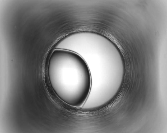 X0000096430530200801241025