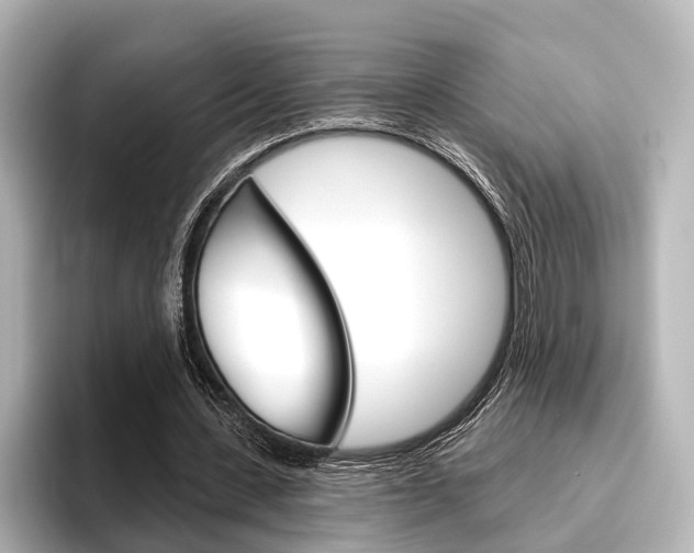 X0000096430531200801241025
