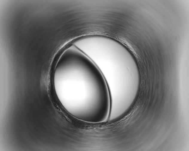 X0000096430532200801241025