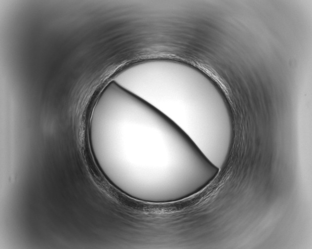 X0000096430533200801241025