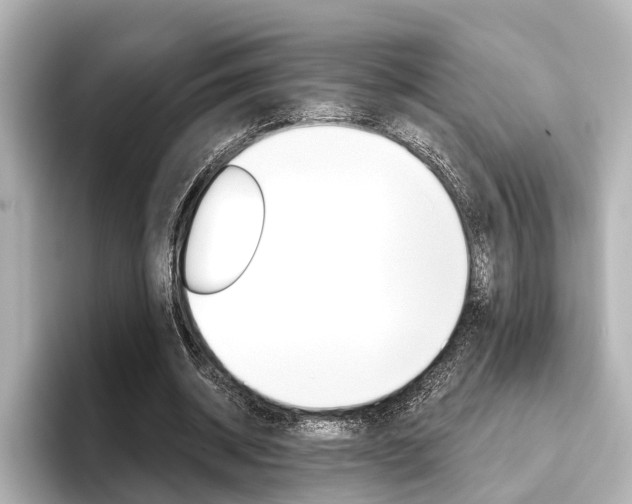X0000096430534200801241025