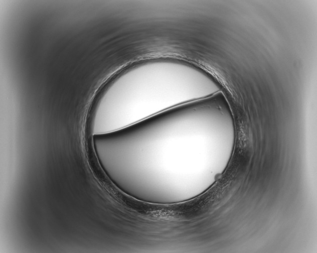 X0000096430535200801241025