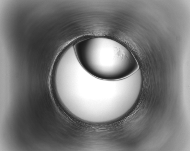 X0000096430536200801241025