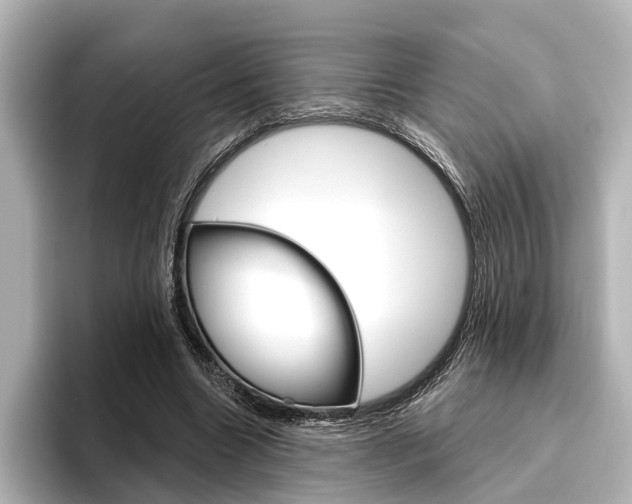 X0000096430538200801241025