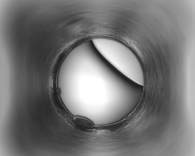 X0000096430539200801241025