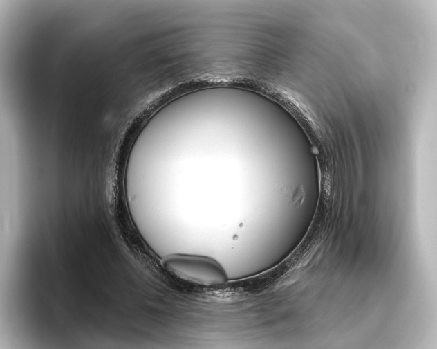 X0000096430540200801241025