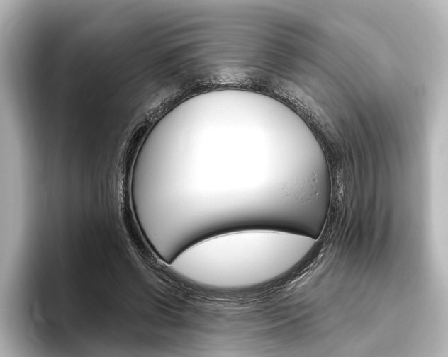 X0000096430542200801241025