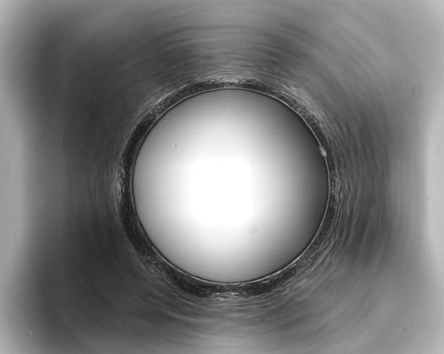 X0000096430544200801241025