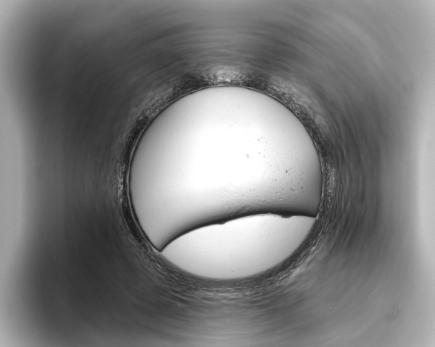 X0000096430545200801241025