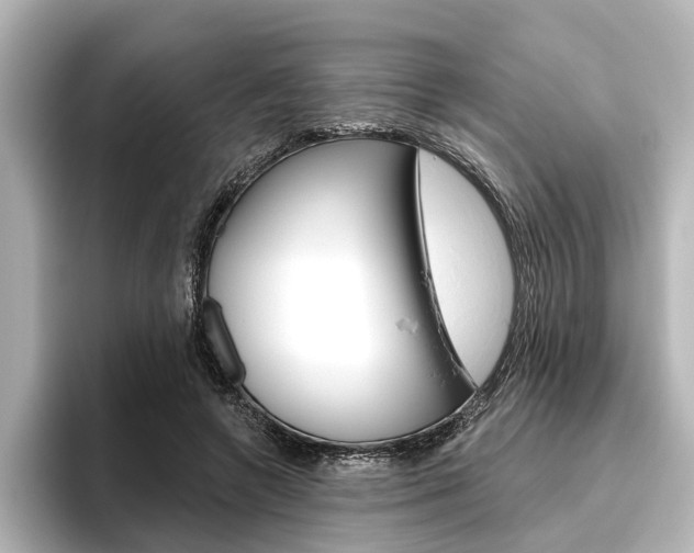 X0000096430546200801241026