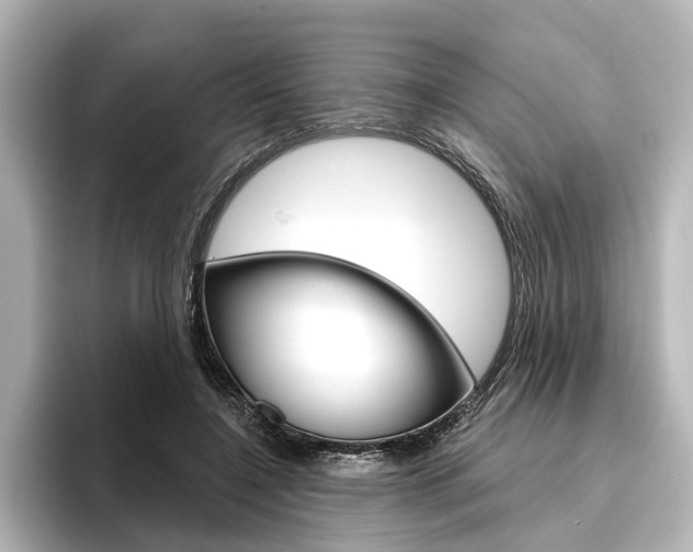 X0000096430548200801241026
