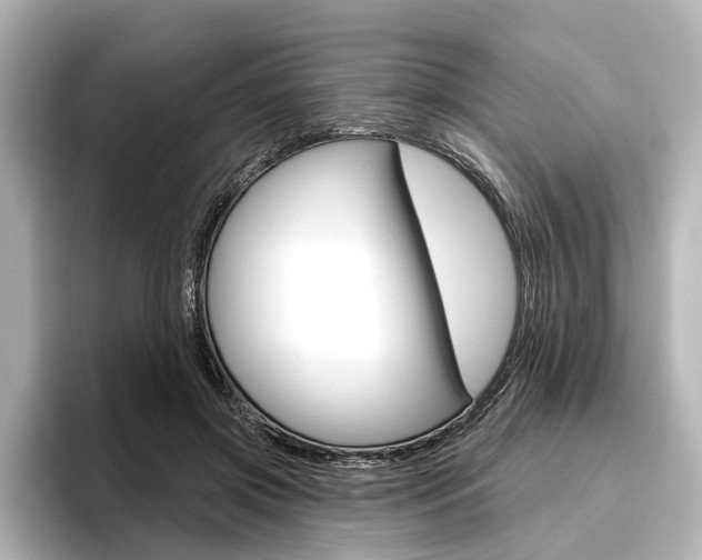 X0000096430549200801241026