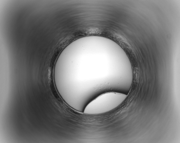 X0000096430550200801241026