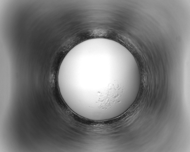 X0000096430551200801241026