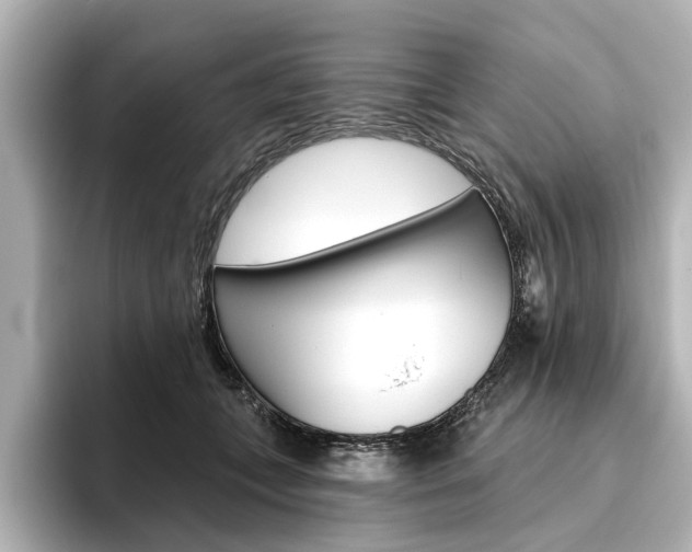 X0000096430559200801241026