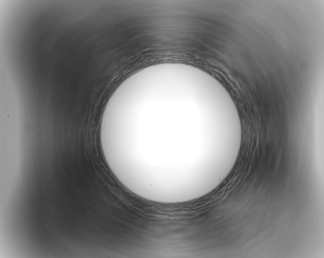X0000096430564200801241026