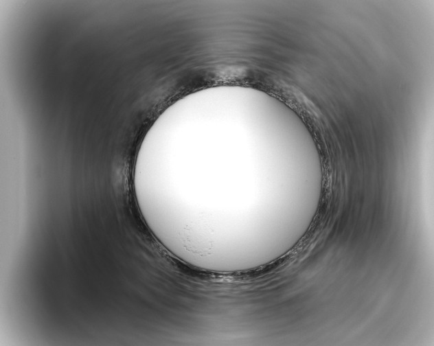 X0000096430565200801241026